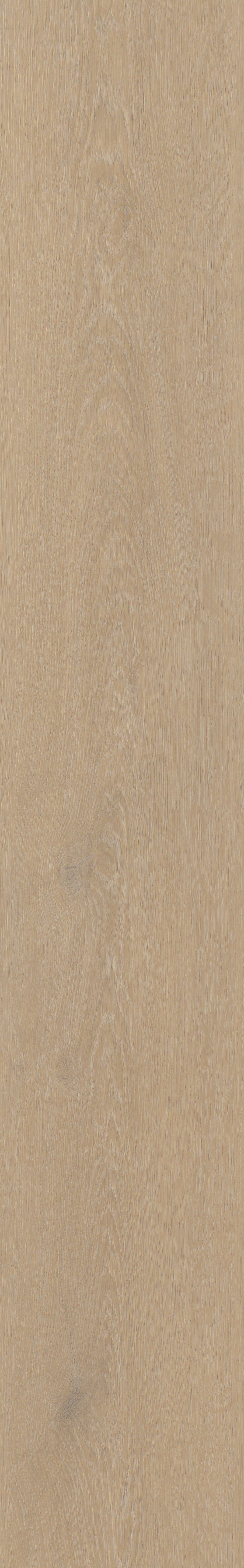 Cervo 200 | Rigid Click